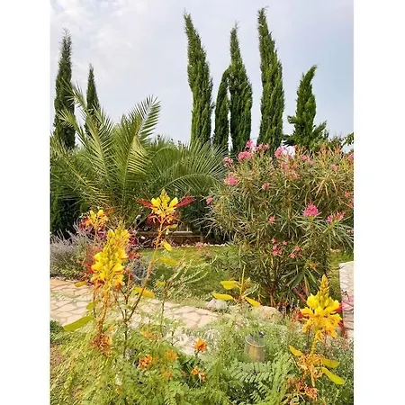 Villa Domizil A&n Comfortable